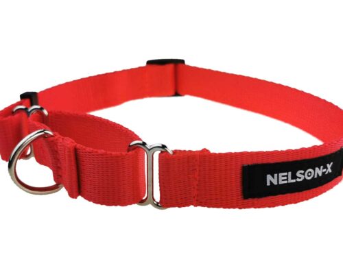 Obroża Martingale dla psa NELSON-X BASIC