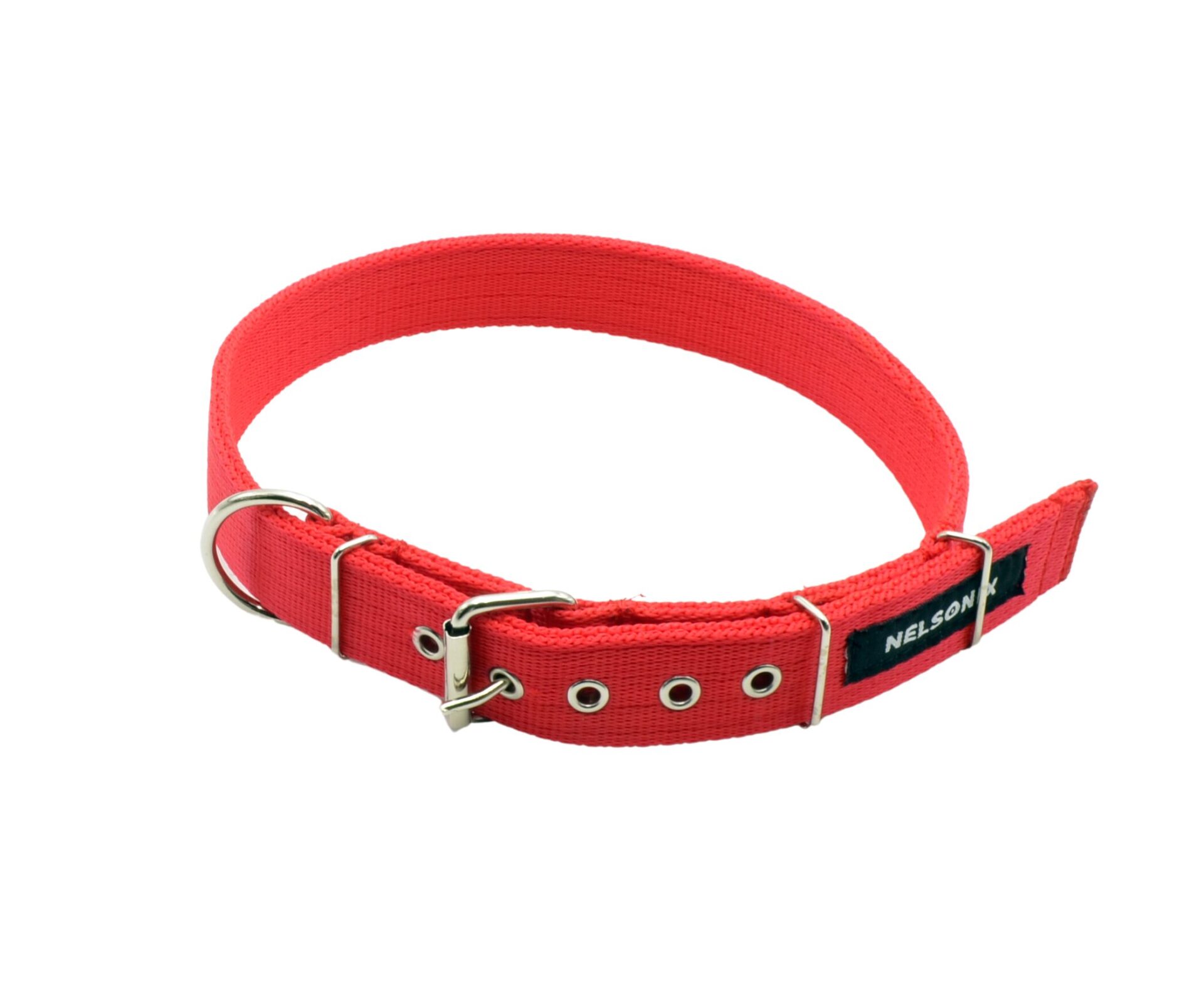 Nieodpinająca się obroża dla psa NELSON-X Safety Small